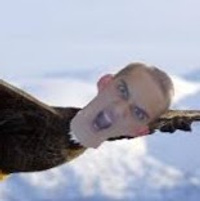 Brigbird